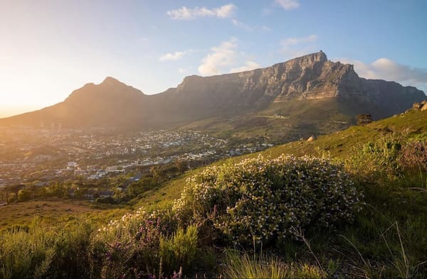 Gardens Cape Town