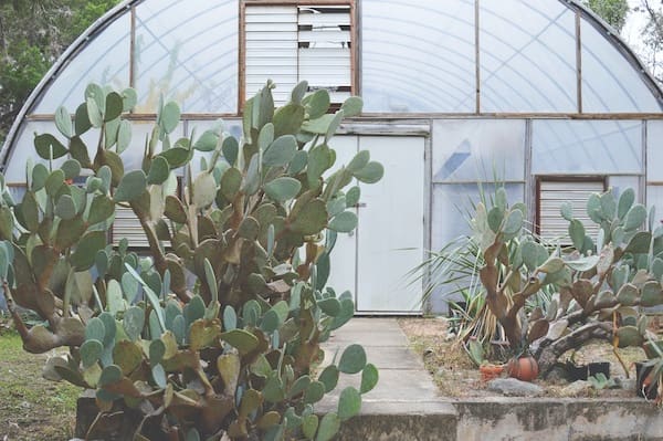 Zilker Botanical Gardens
