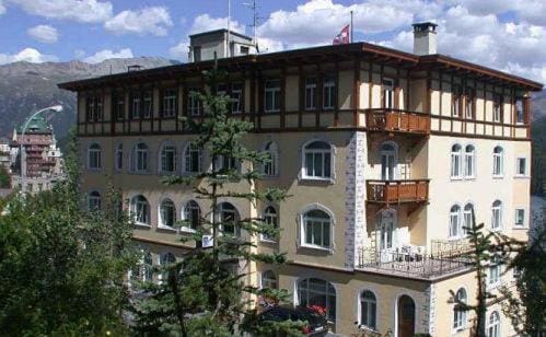 Soldanella in St. Moritz