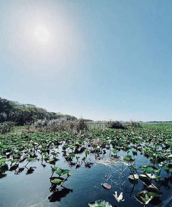Miami Everglades