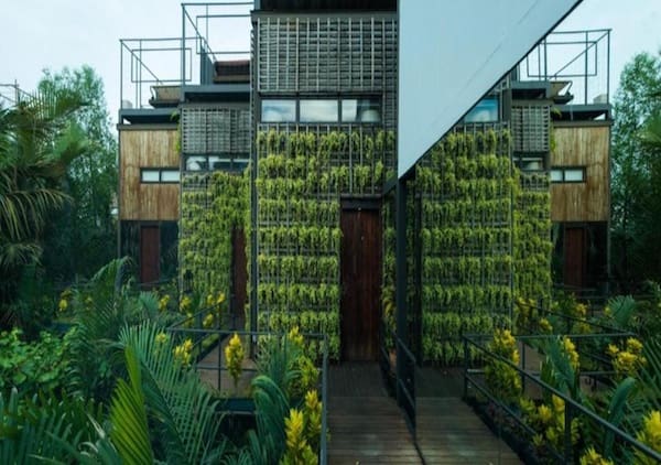 Bangkok Tree House